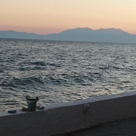 George & Katerina Houses Paralia Dionysiou Exterior photo